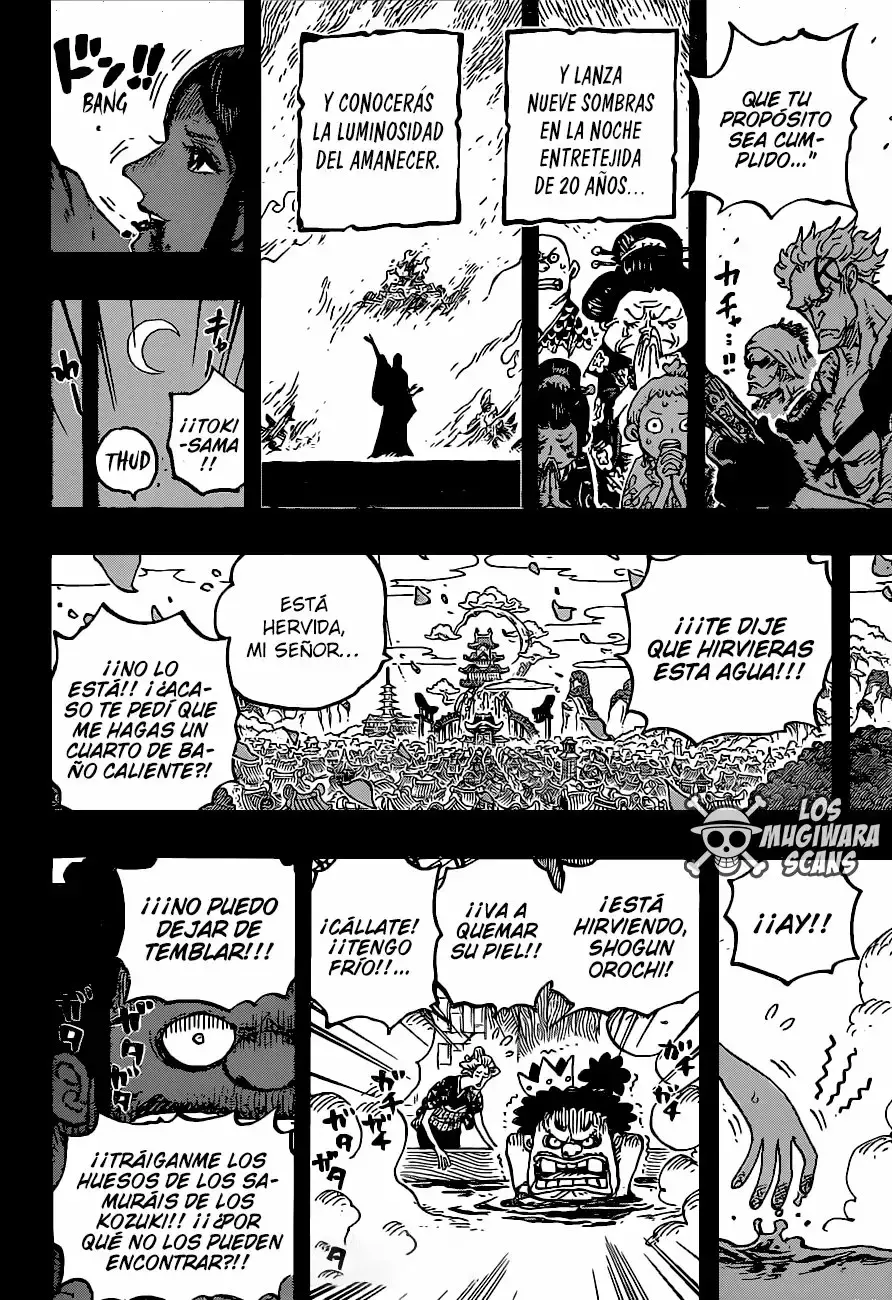 One Piece Capitulo 973 página 13