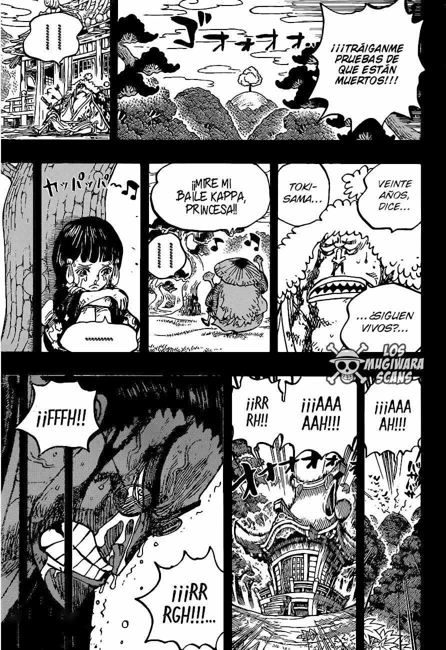 One Piece Capitulo 973 página 14