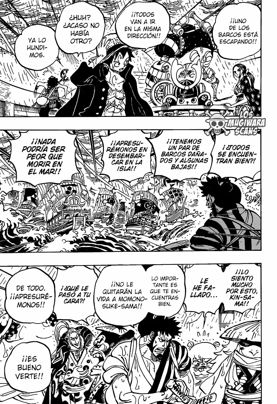 One Piece Capitulo 976 página 14