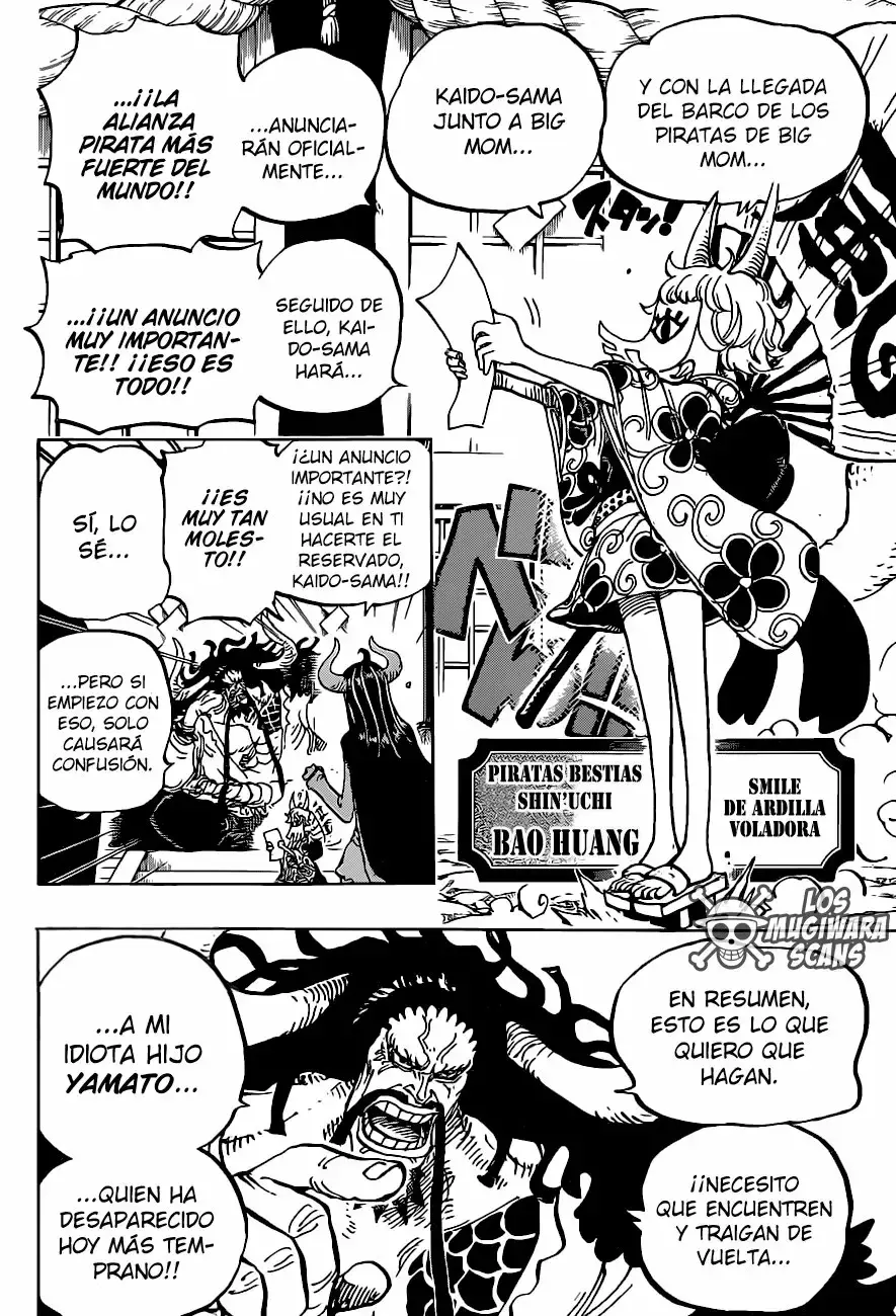 One Piece Capitulo 979.5 página 15