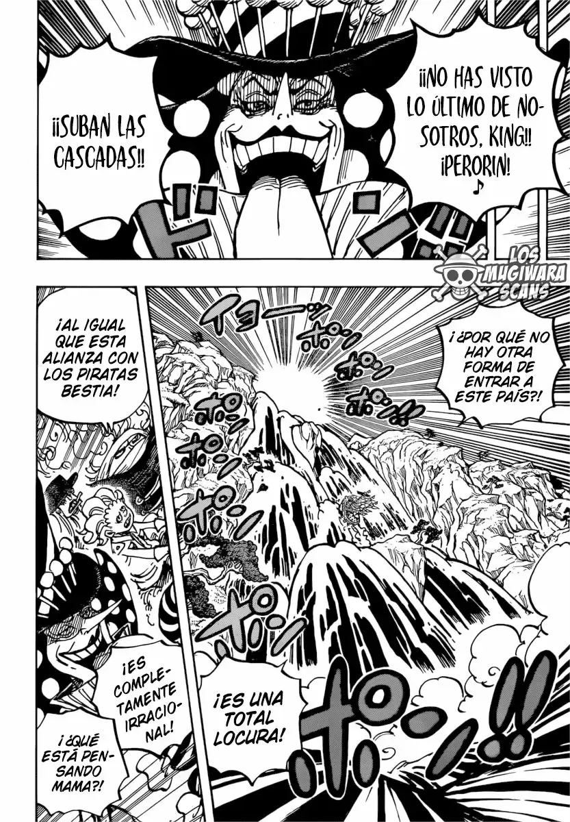 One Piece Capitulo 981 página 17