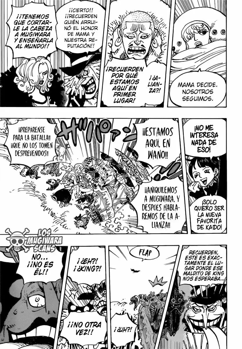 One Piece Capitulo 981 página 18