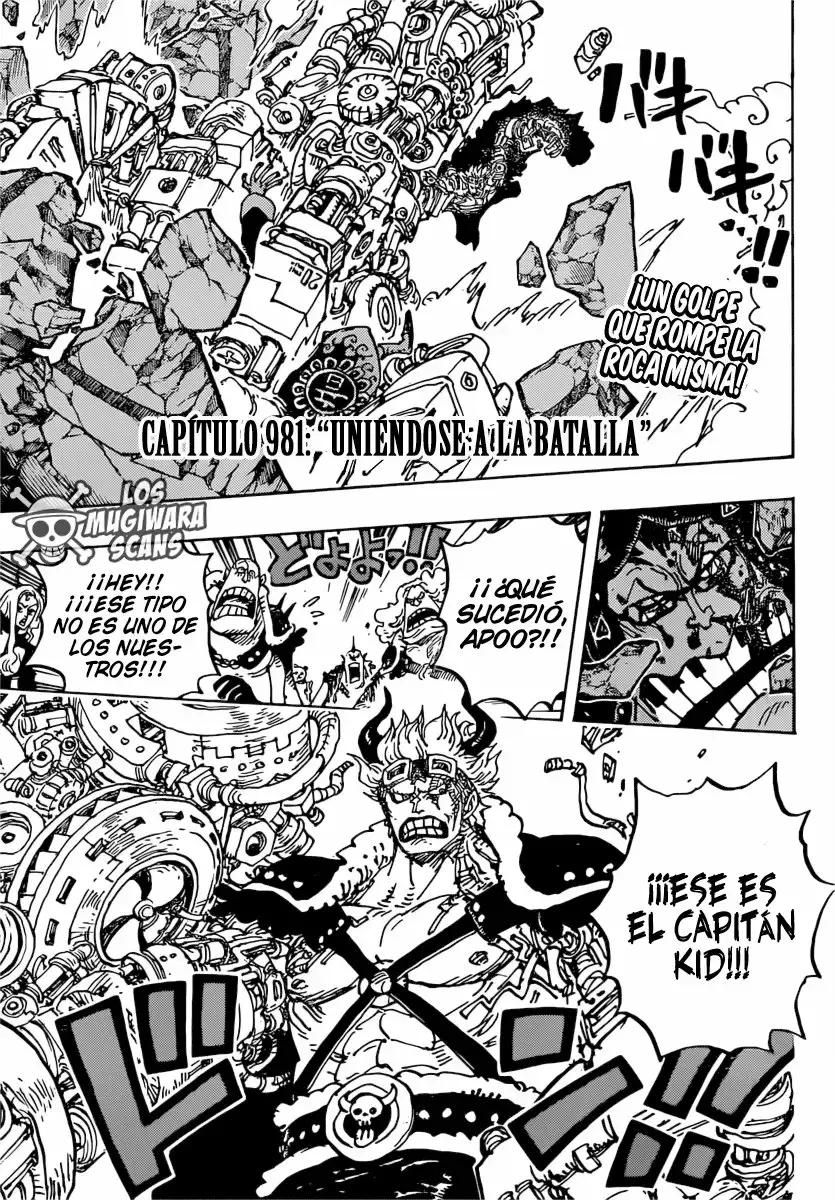 One Piece Capitulo 981 página 4