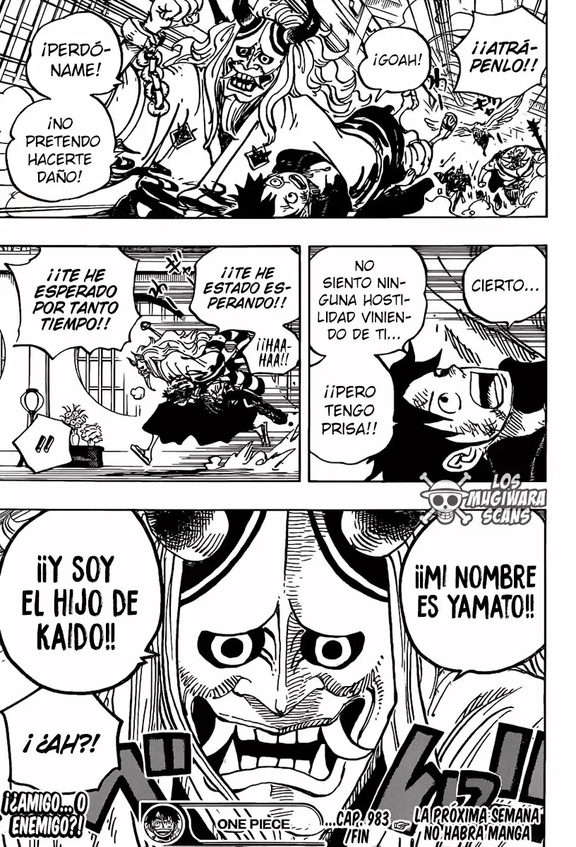 One Piece Capitulo 983.5 página 18