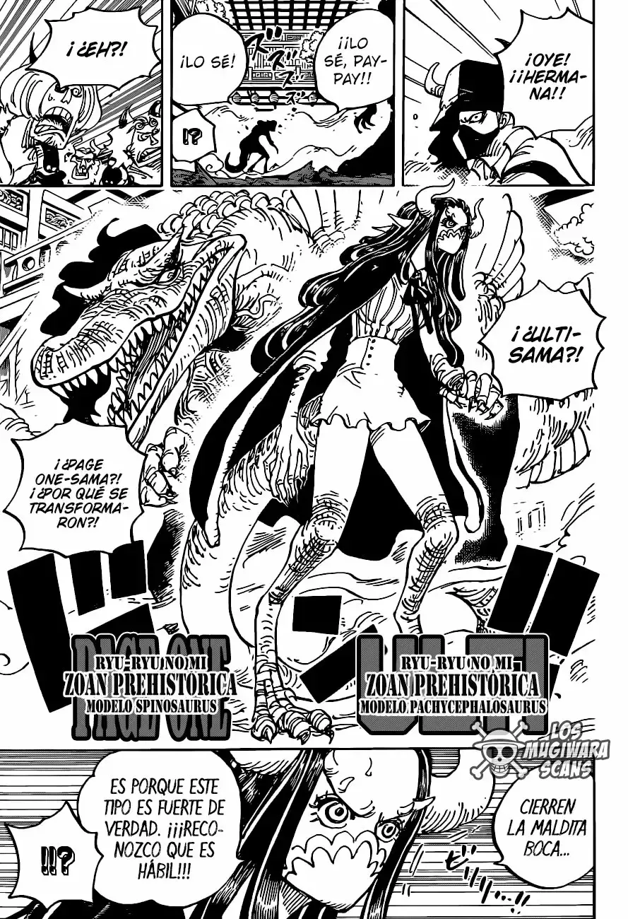 One Piece Capitulo 983 página 13