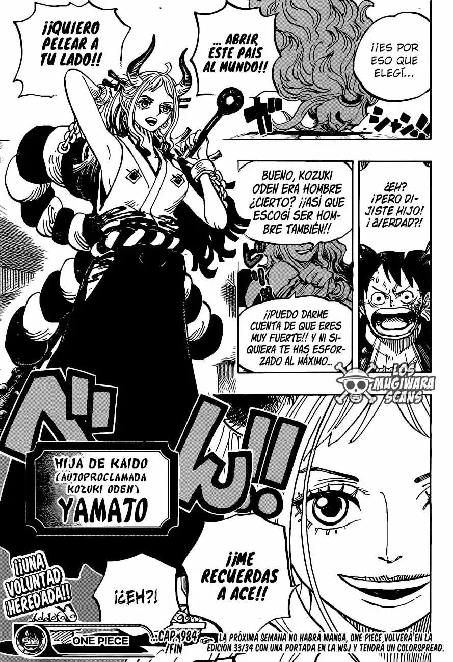 One Piece Capitulo 984.5 página 15