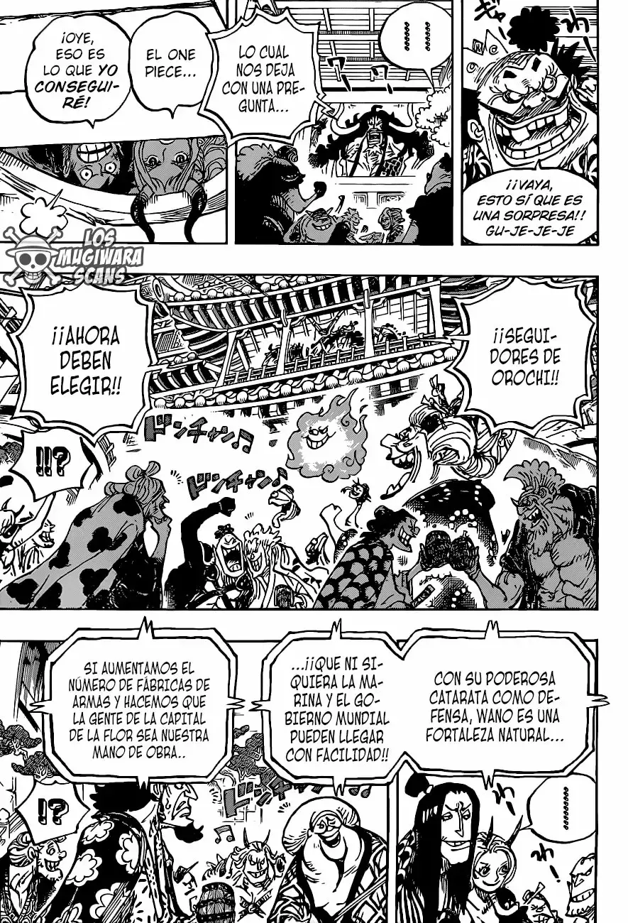 One Piece Capitulo 985.5 página 14