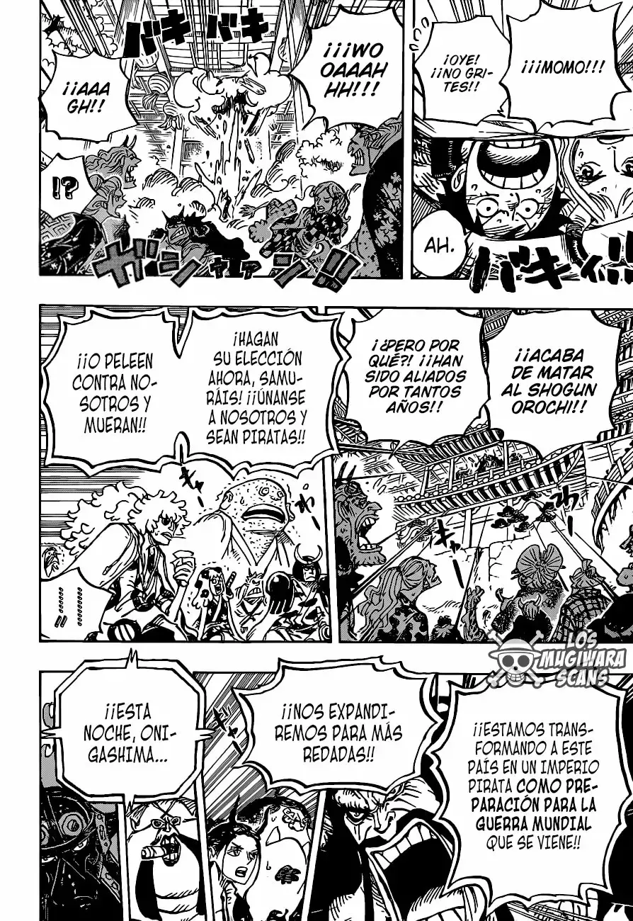 One Piece Capitulo 985.5 página 17