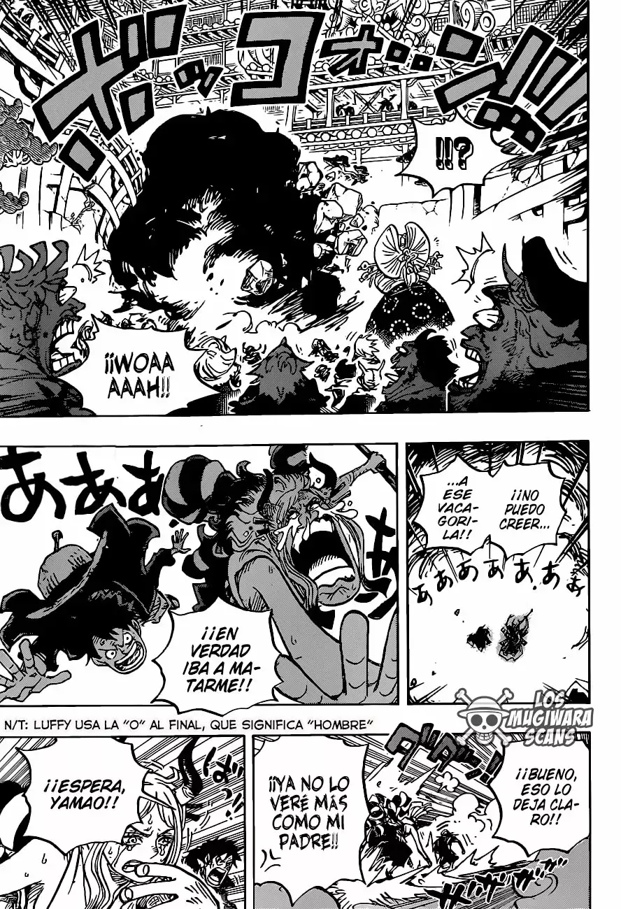 One Piece Capitulo 986.5 página 13