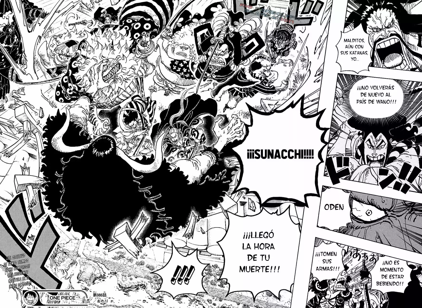 One Piece Capitulo 986: ¡Mi nombre! página 17