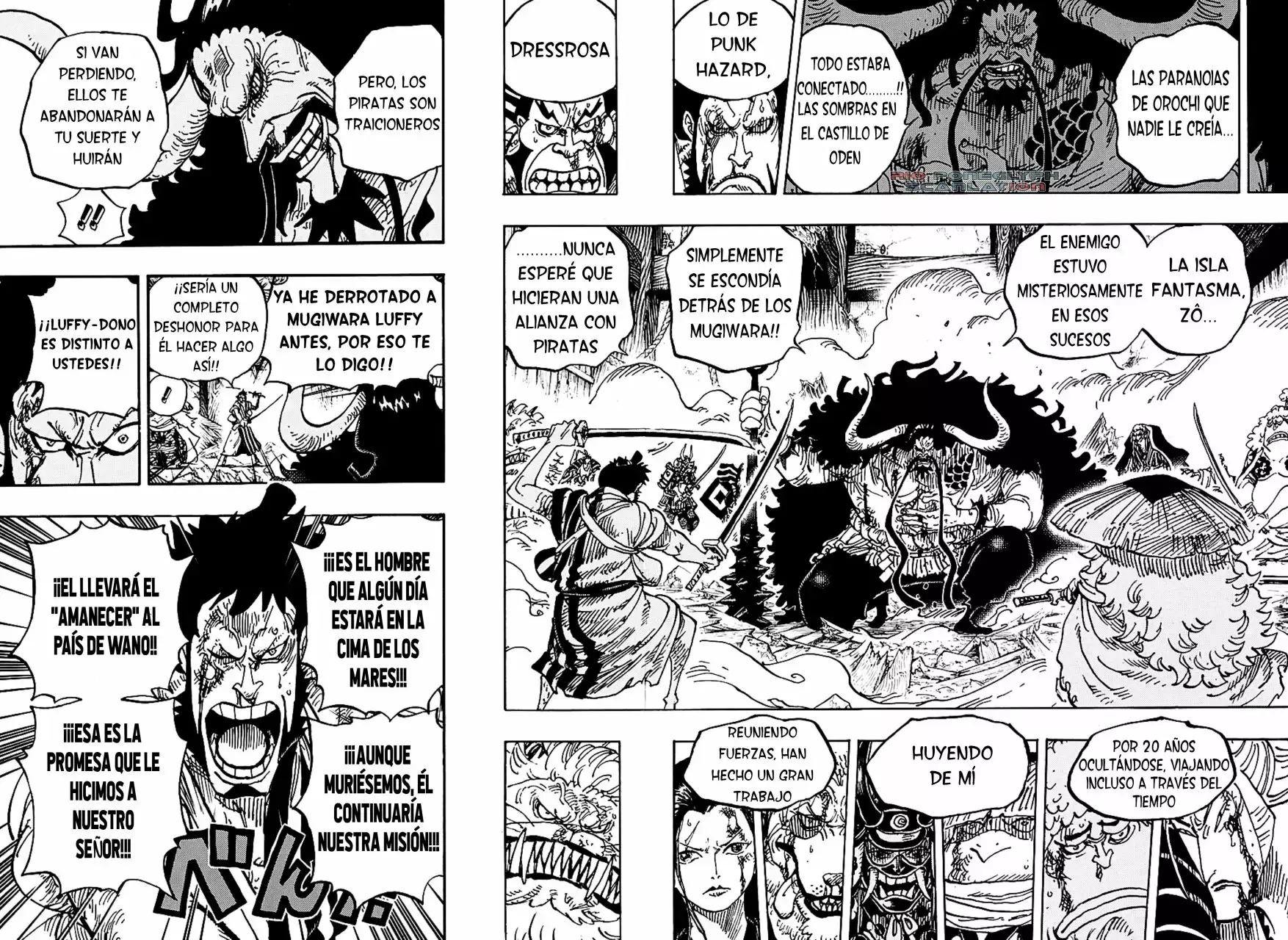 One Piece Capitulo 987.5 página 11