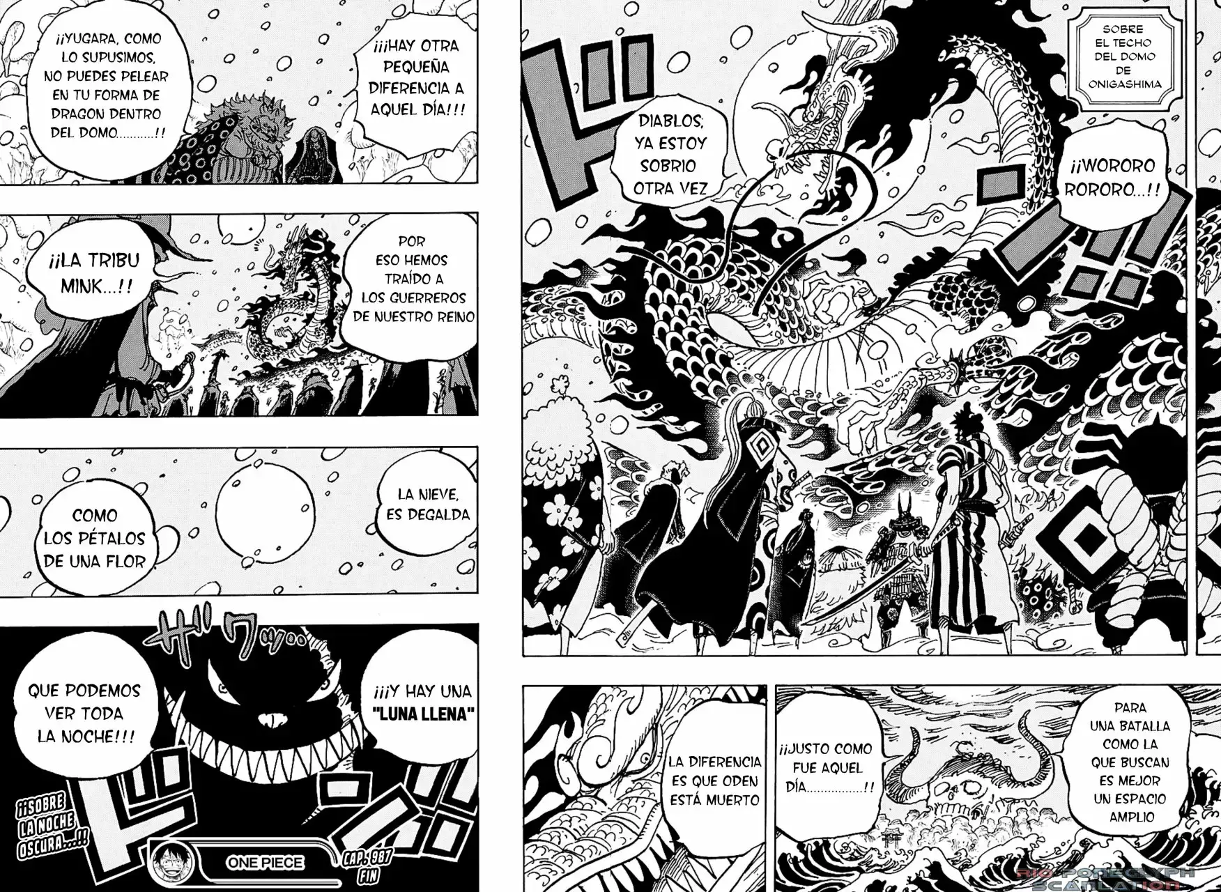 One Piece Capitulo 987.5 página 15