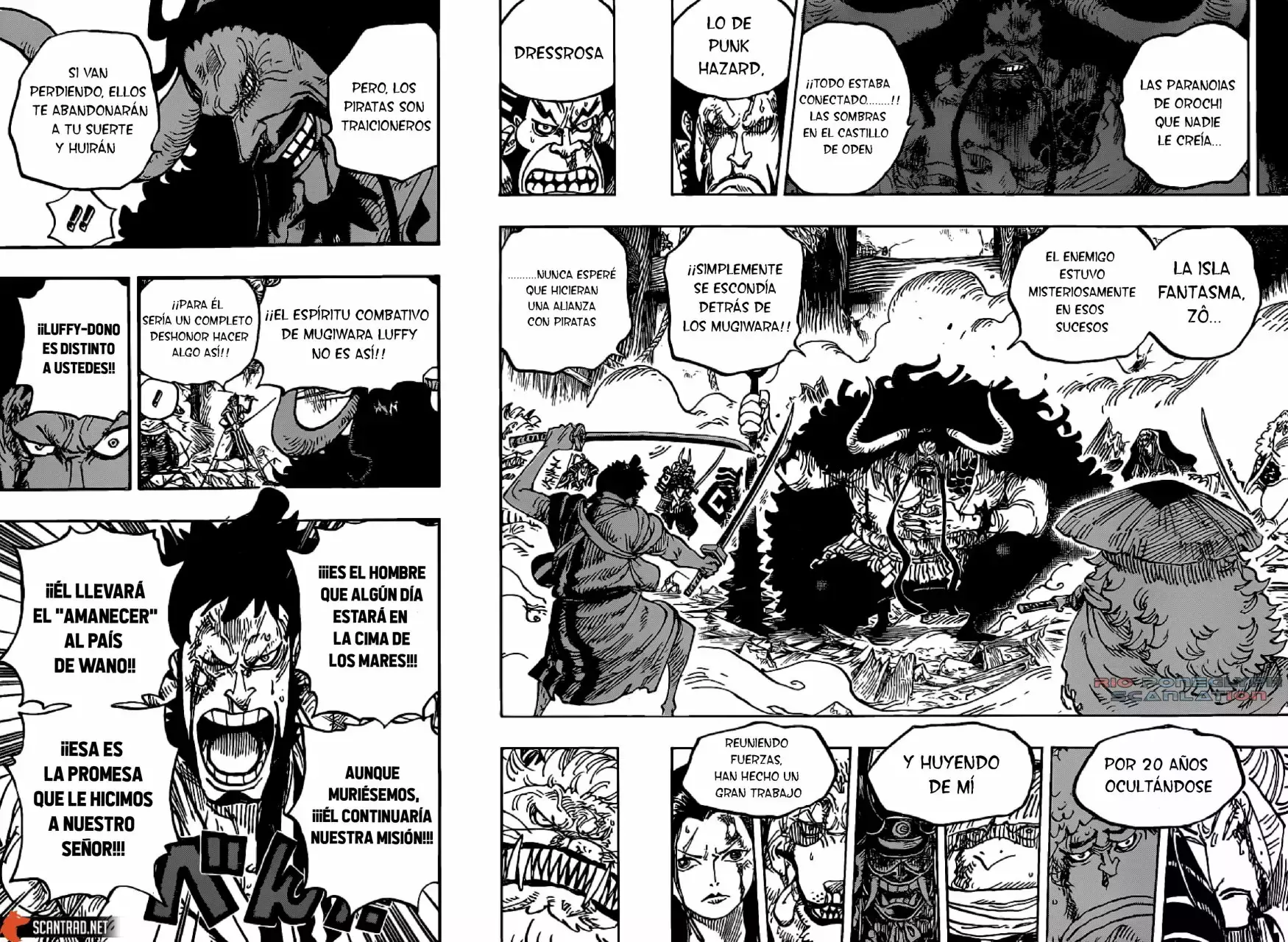 One Piece Capitulo 987 página 11