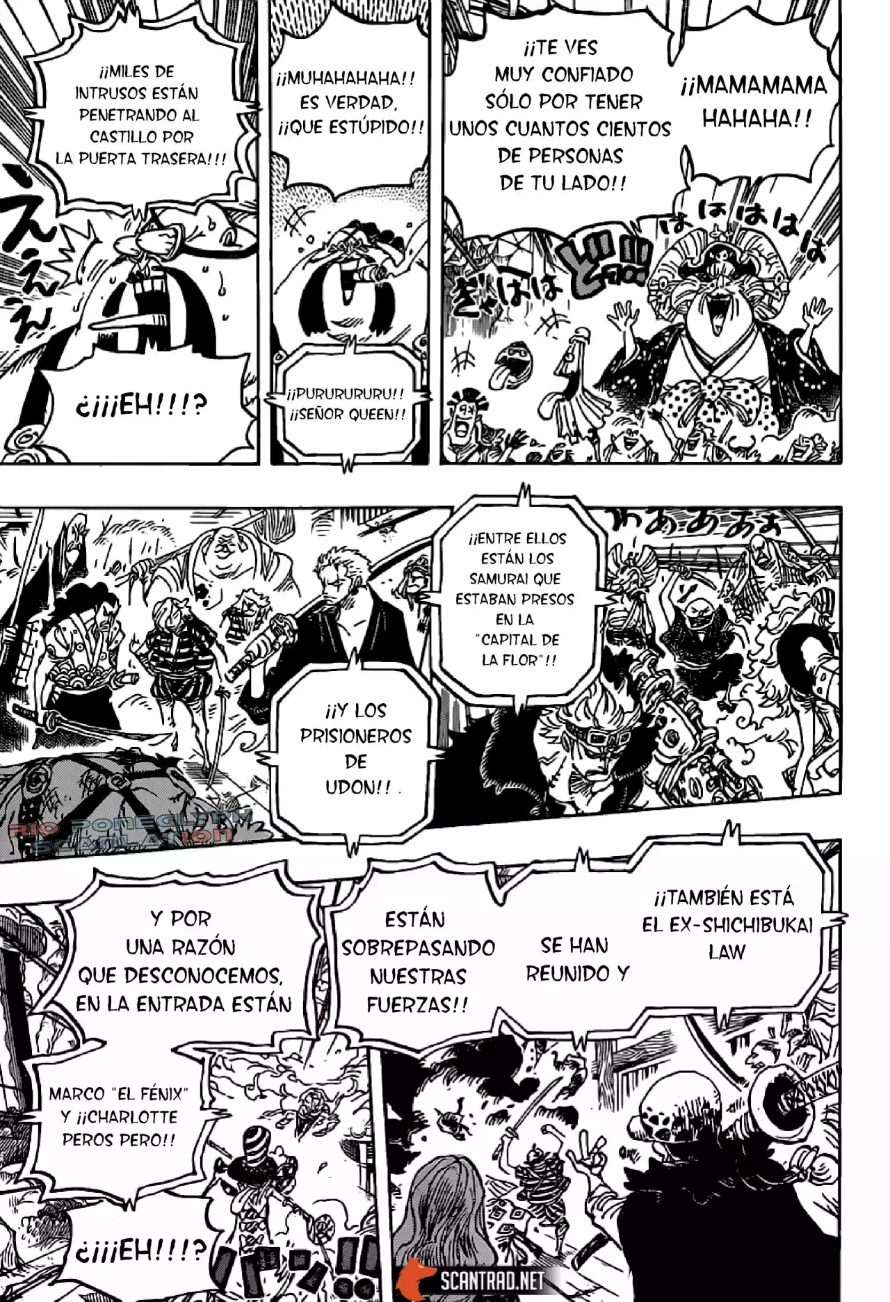 One Piece Capitulo 987 página 13