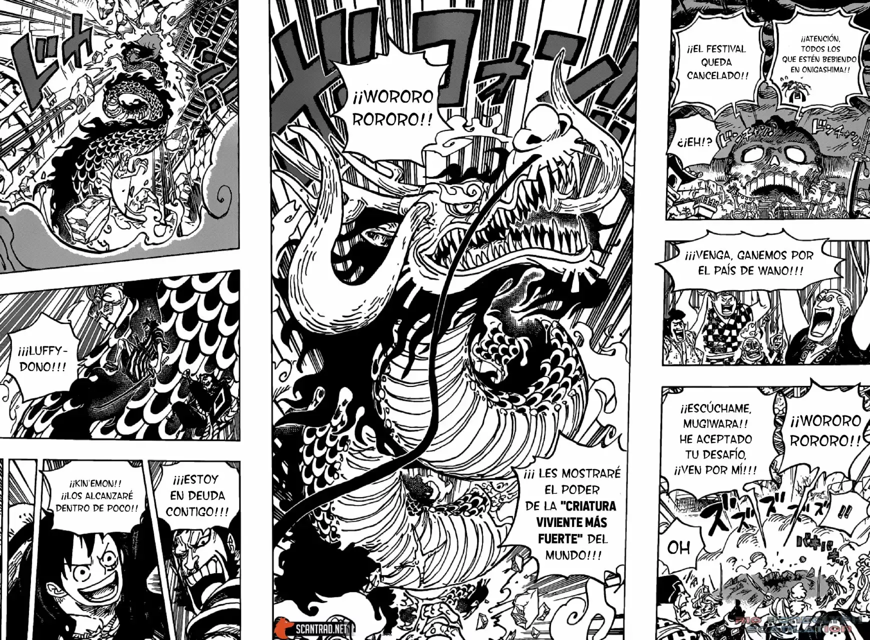 One Piece Capitulo 987 página 14