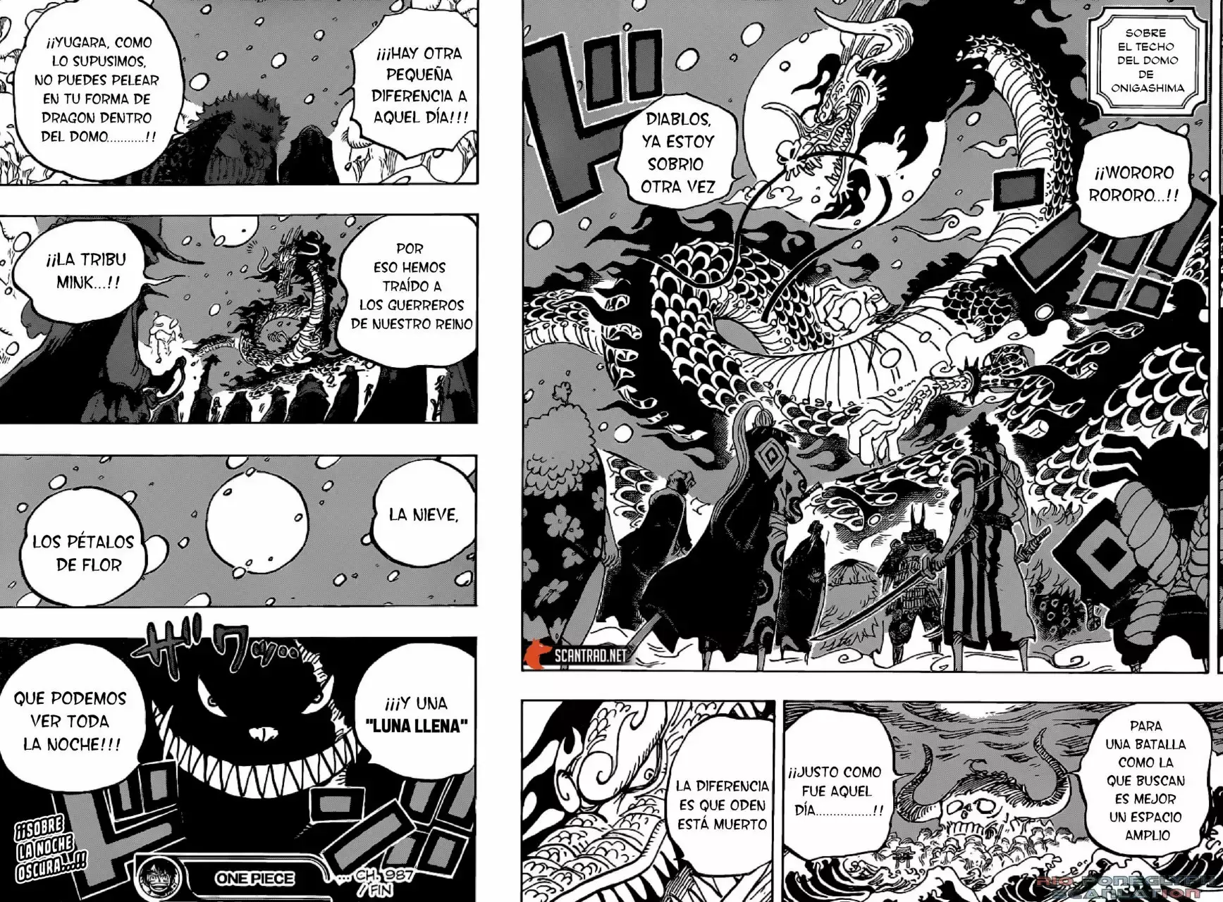 One Piece Capitulo 987 página 15