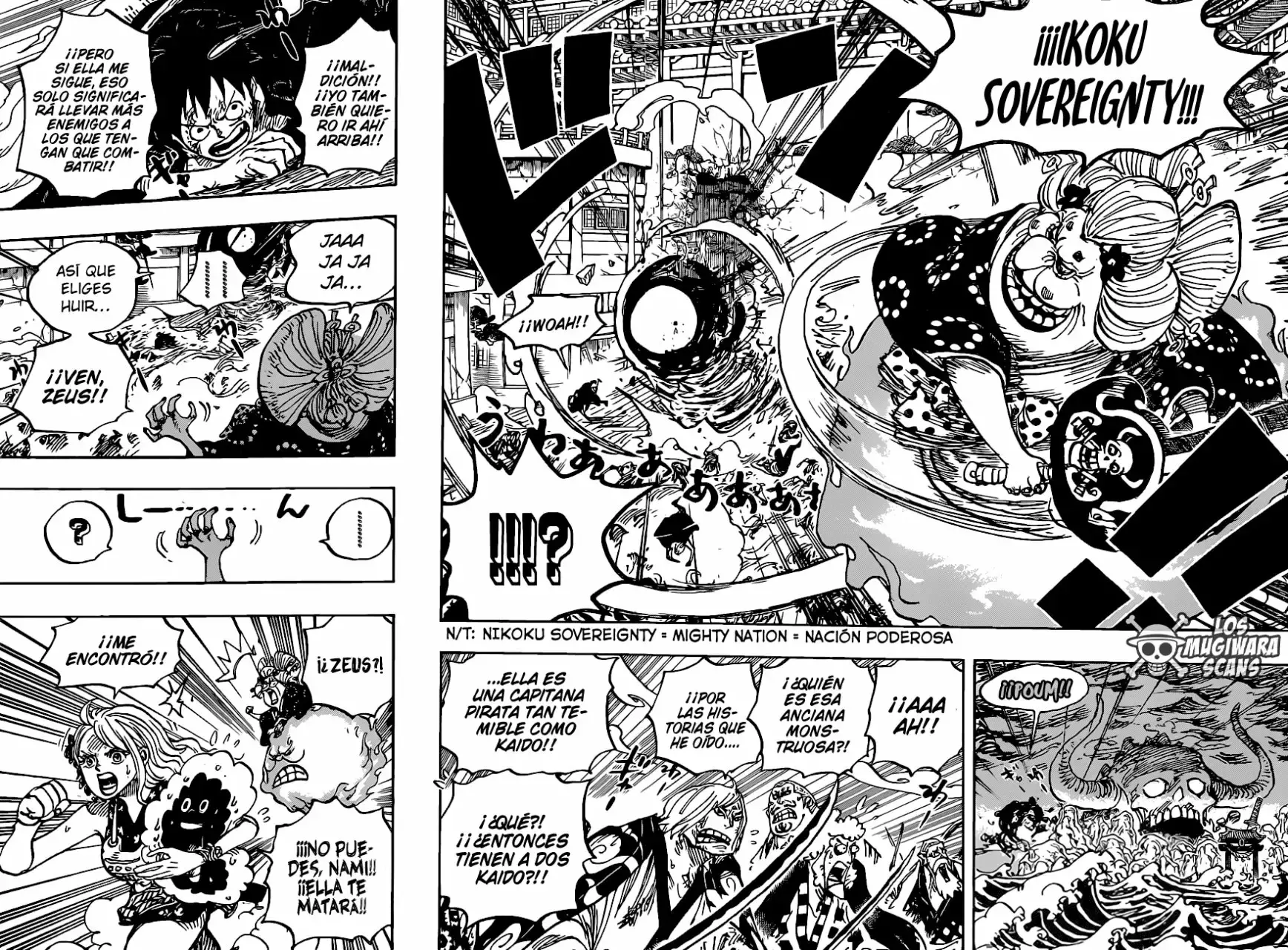 One Piece Capitulo 988.5 página 12