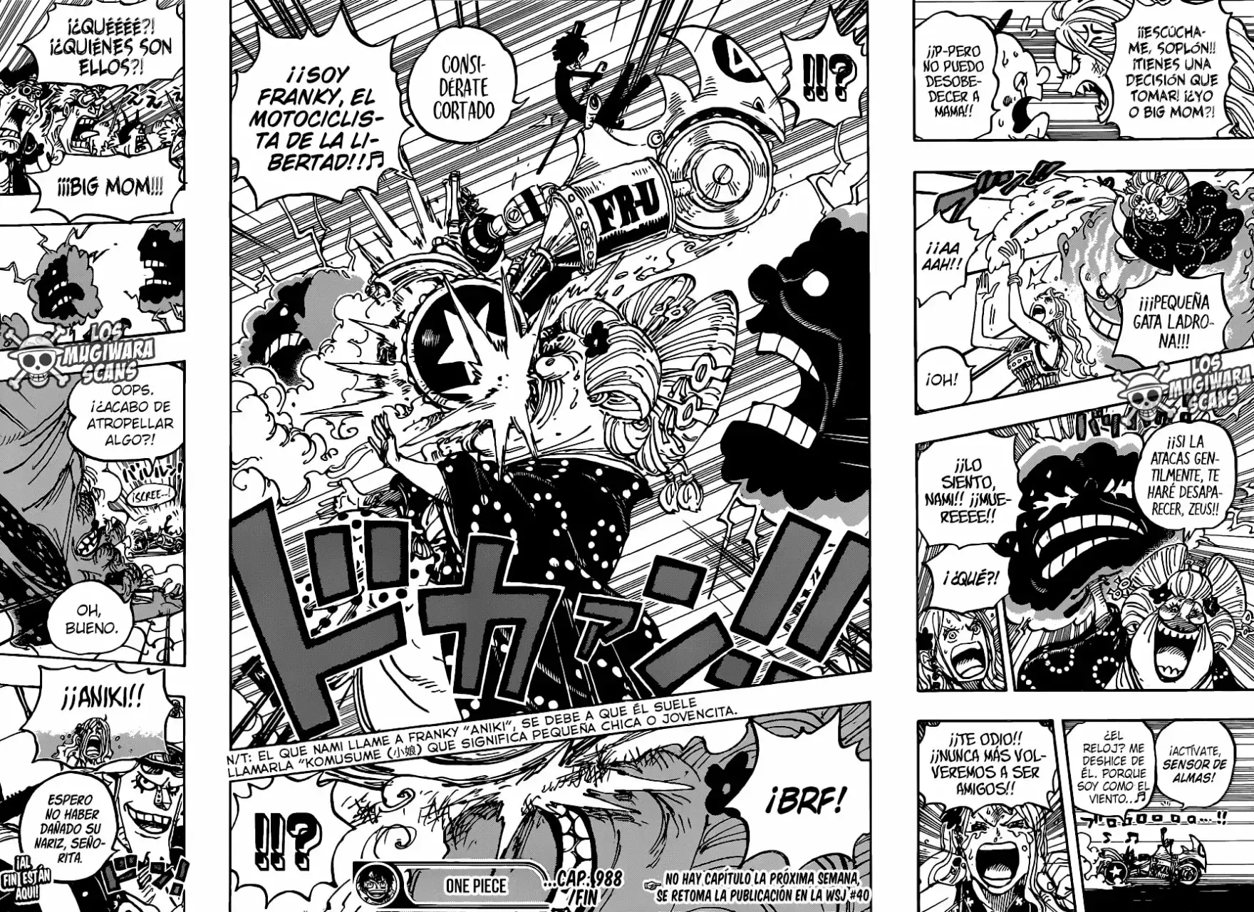One Piece Capitulo 988.5 página 13