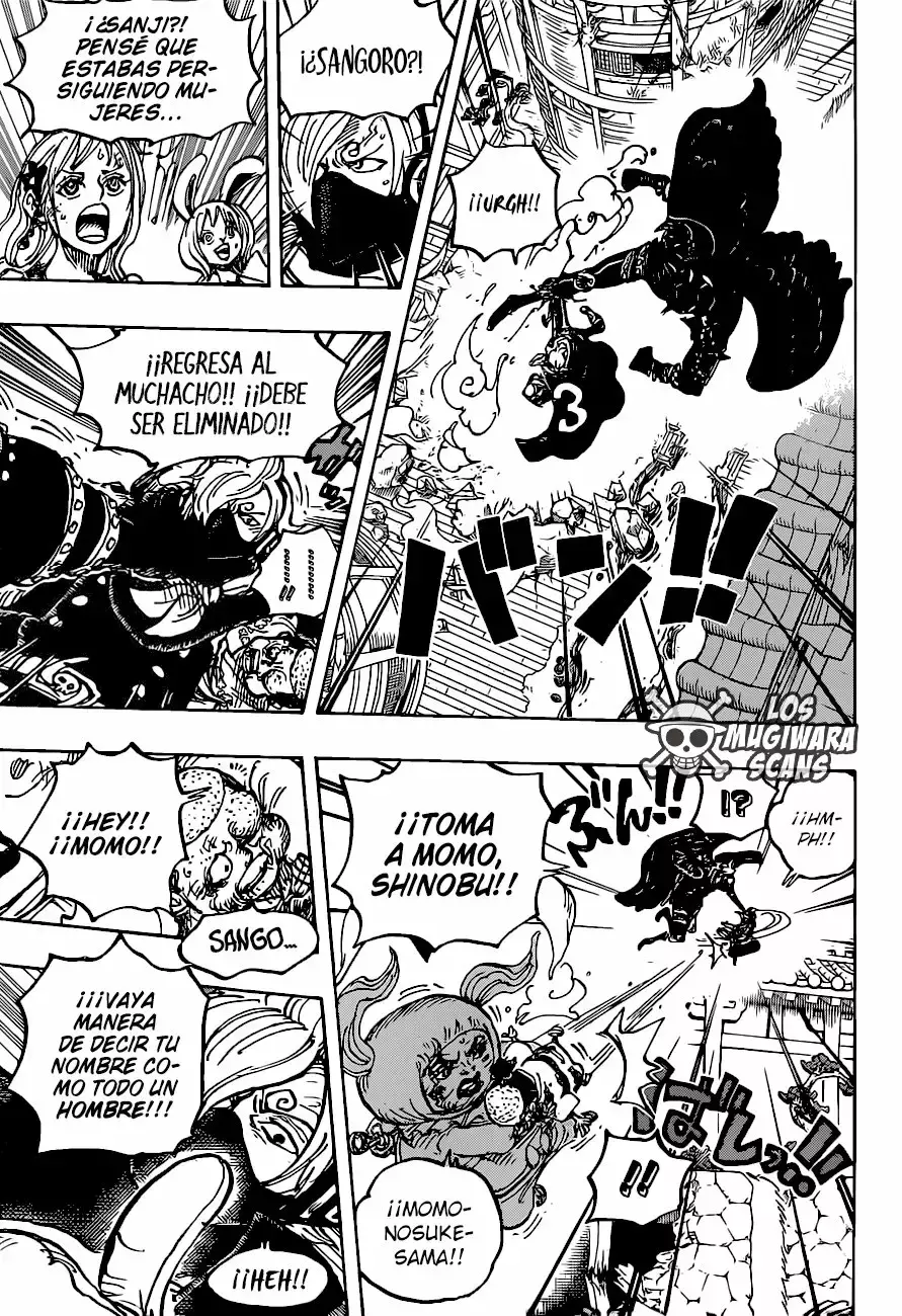 One Piece Capitulo 988.5 página 9