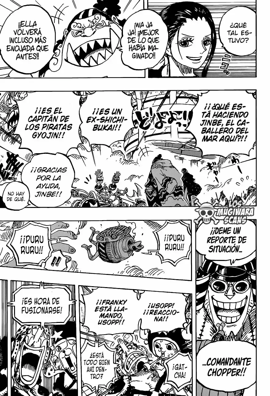One Piece Capitulo 989.5 página 10