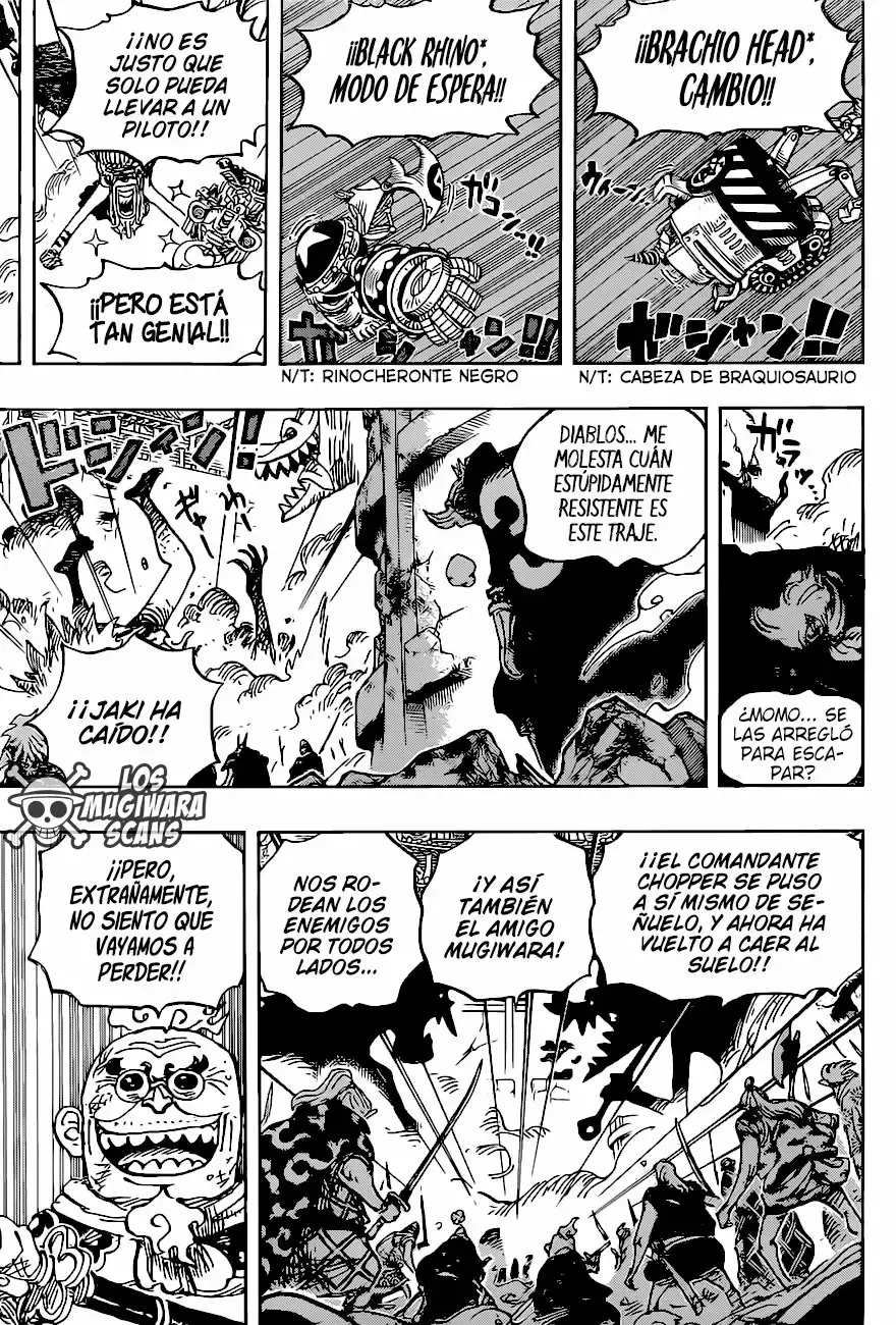 One Piece Capitulo 989.5 página 14