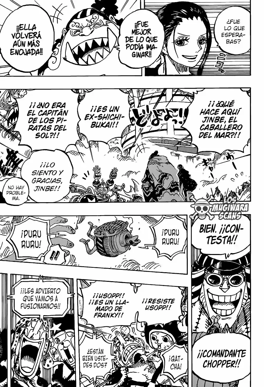 One Piece Capitulo 989 página 11
