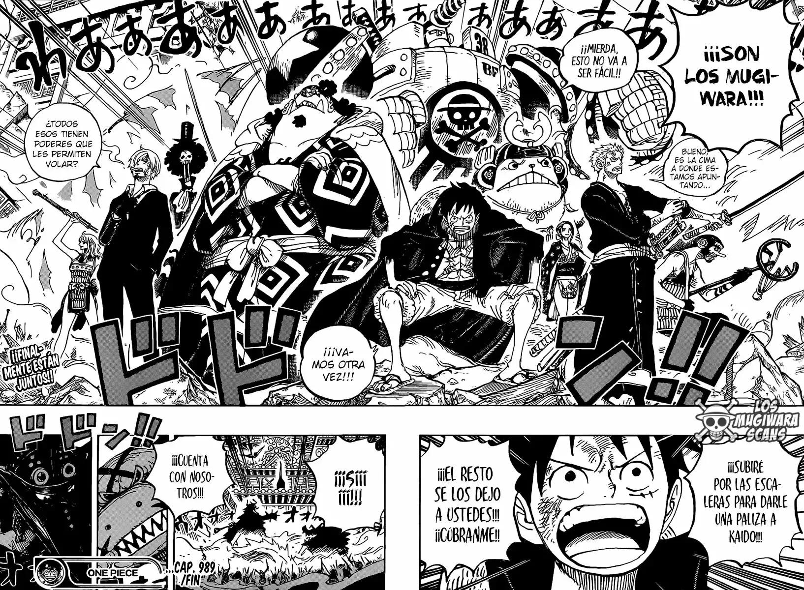 One Piece Capitulo 989 página 16