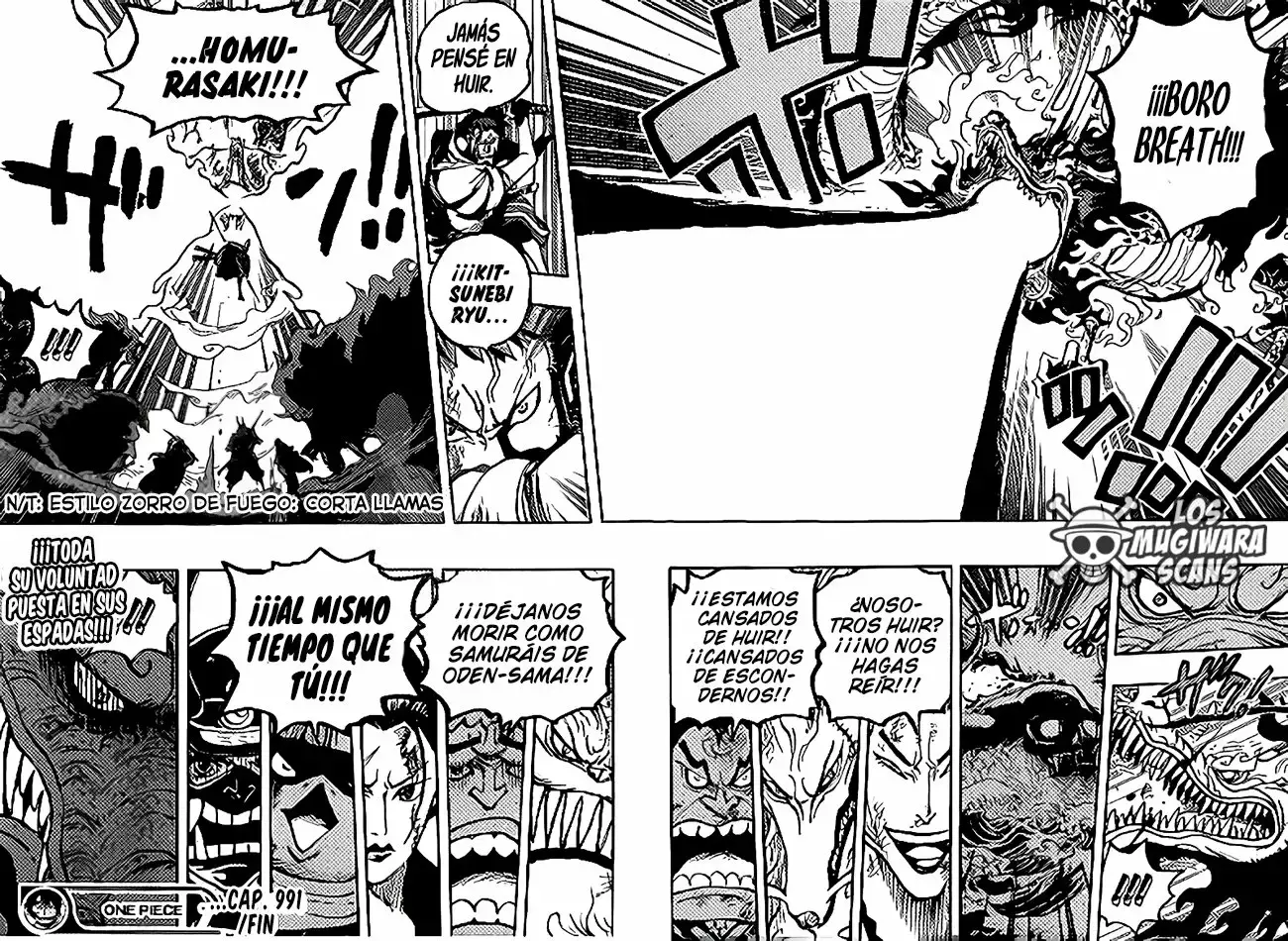 One Piece Capitulo 991 página 17