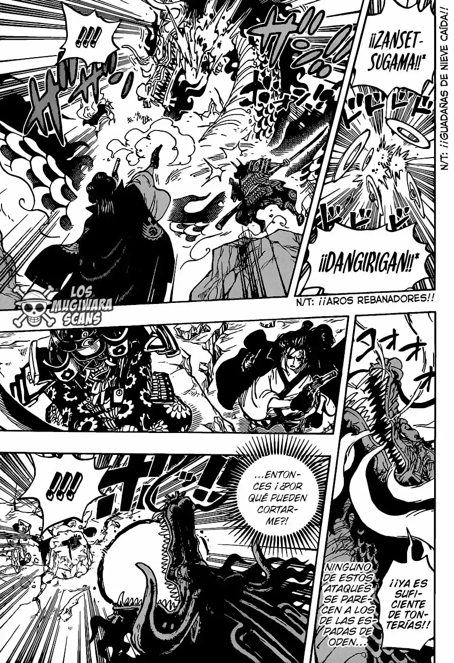 One Piece Capitulo 992 página 12