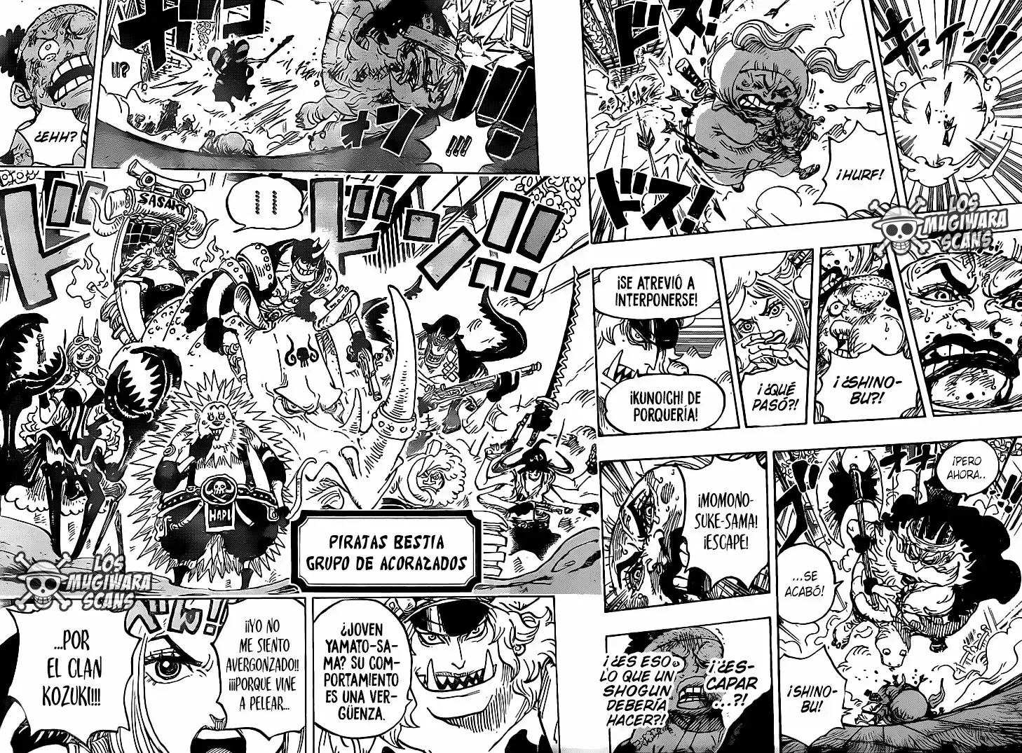One Piece Capitulo 993 página 14