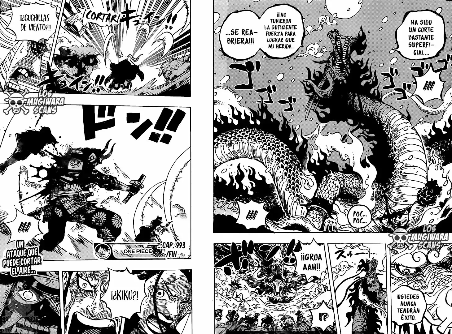 One Piece Capitulo 993 página 17