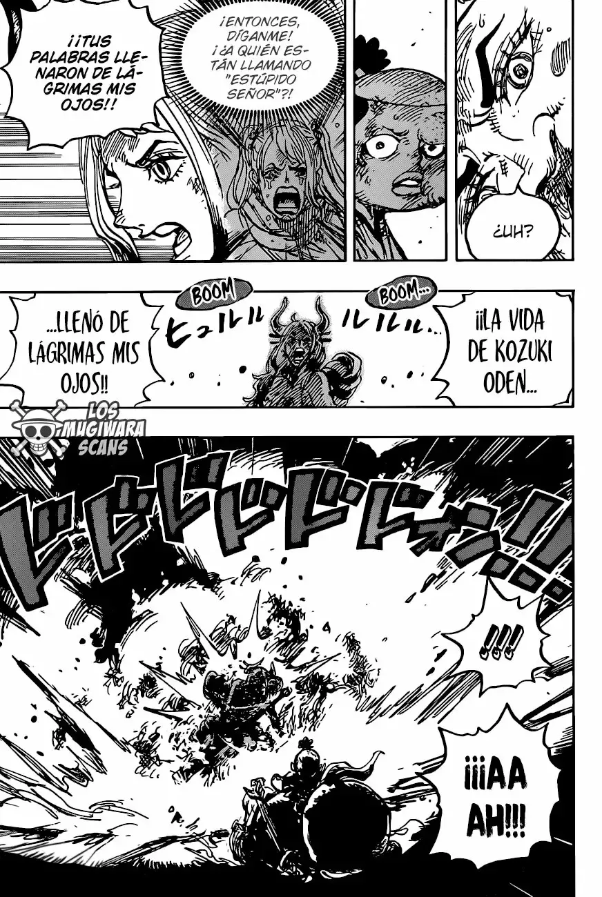 One Piece Capitulo 994.5 página 15