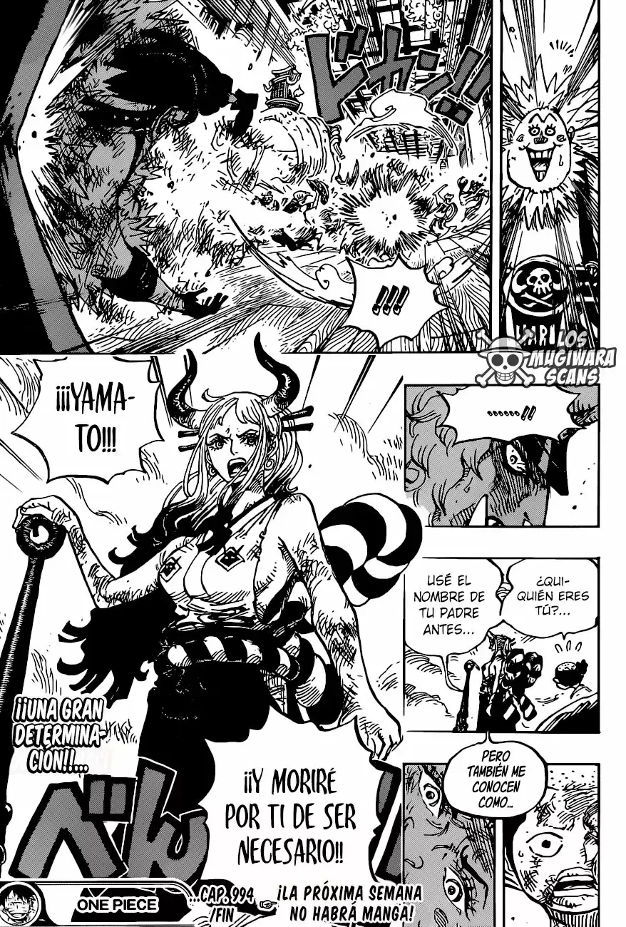 One Piece Capitulo 994.5 página 17