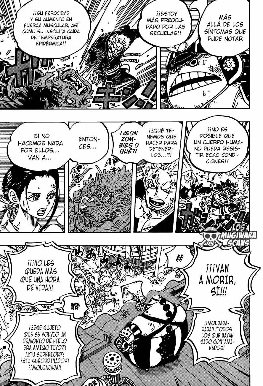 One Piece Capitulo 994 página 12
