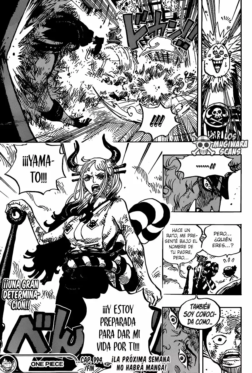 One Piece Capitulo 994 página 18