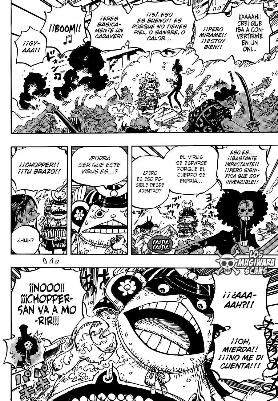 One Piece Capitulo 995.5 página 12
