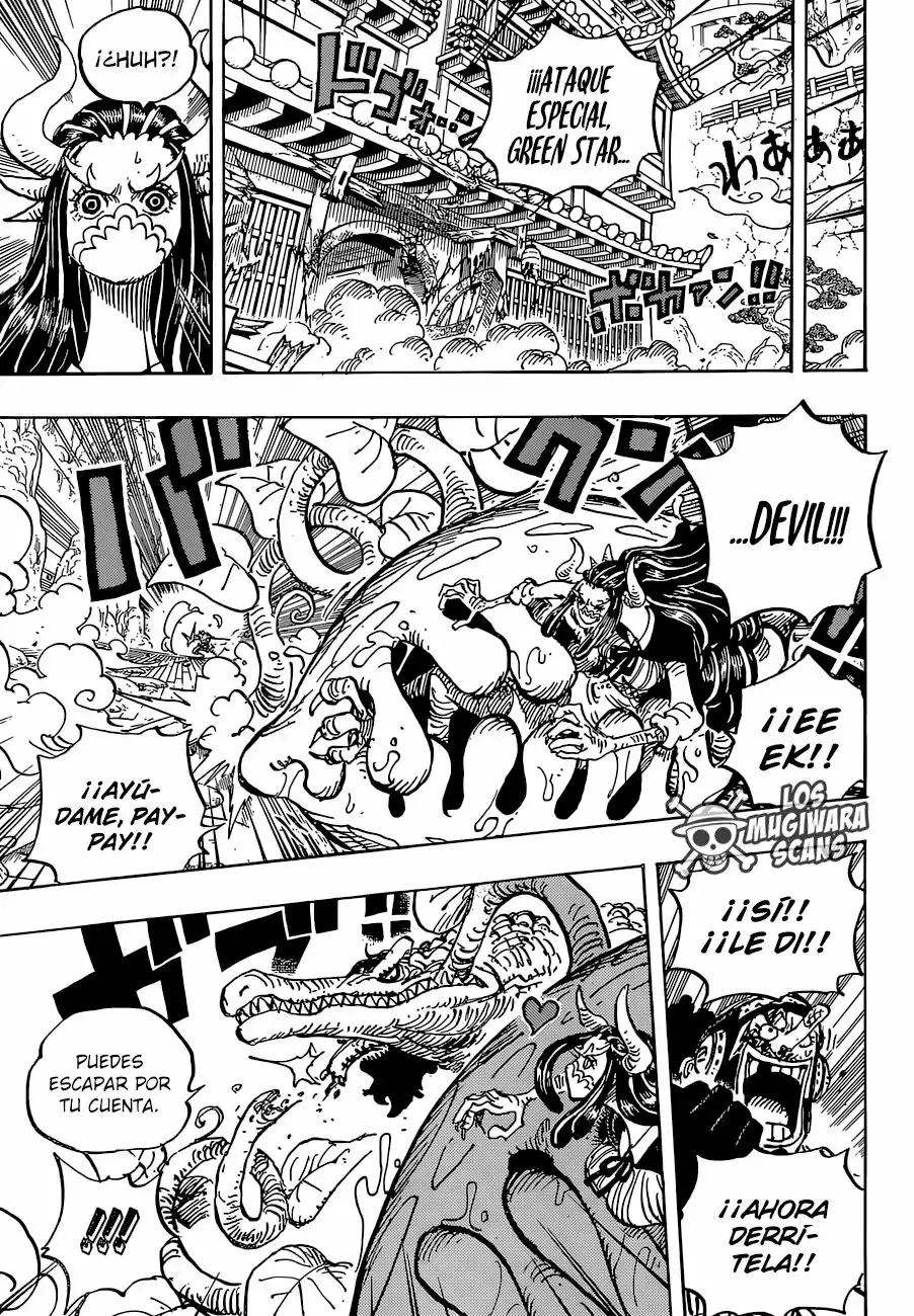 One Piece Capitulo 995.5 página 13