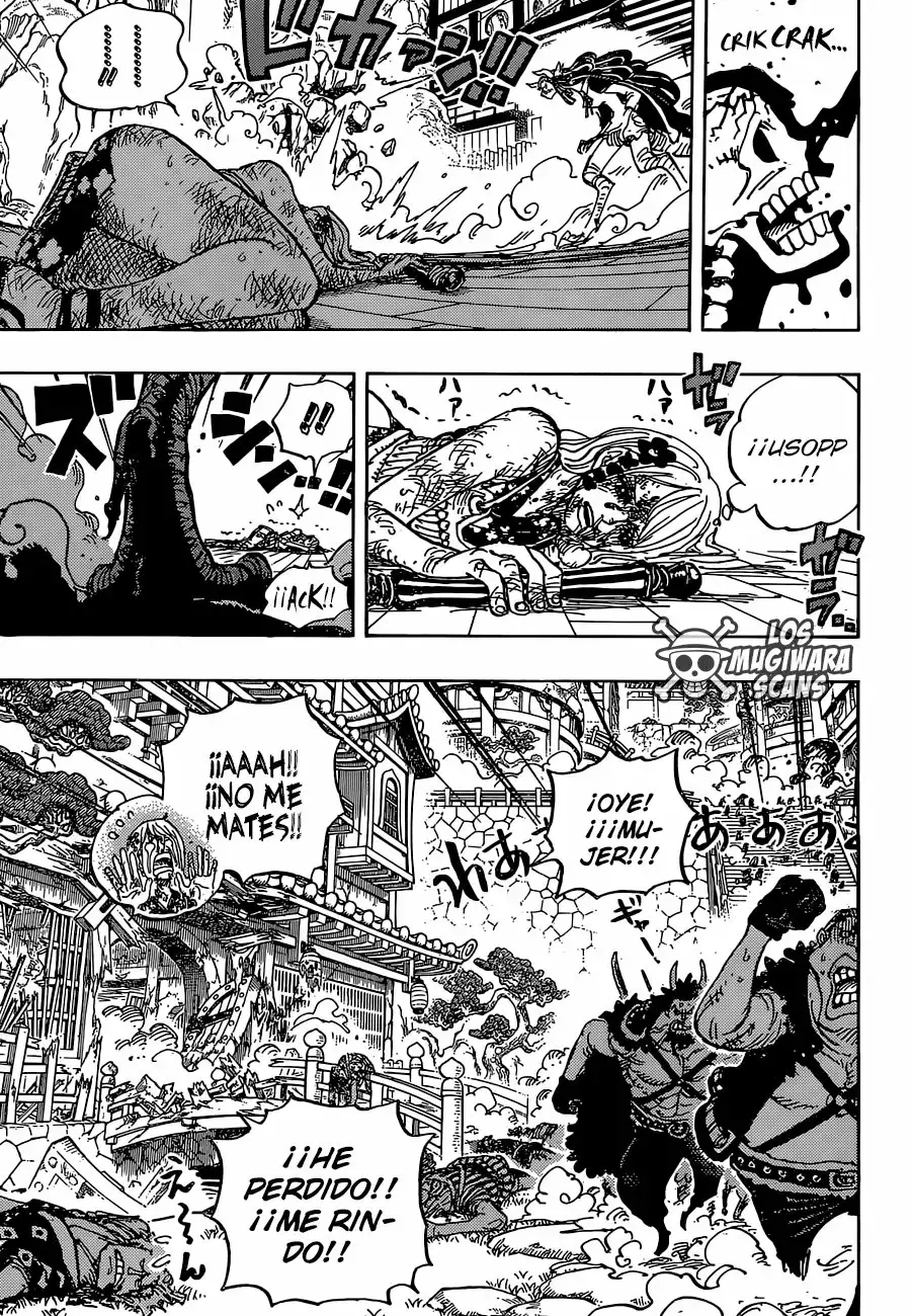 One Piece Capitulo 995.5 página 15