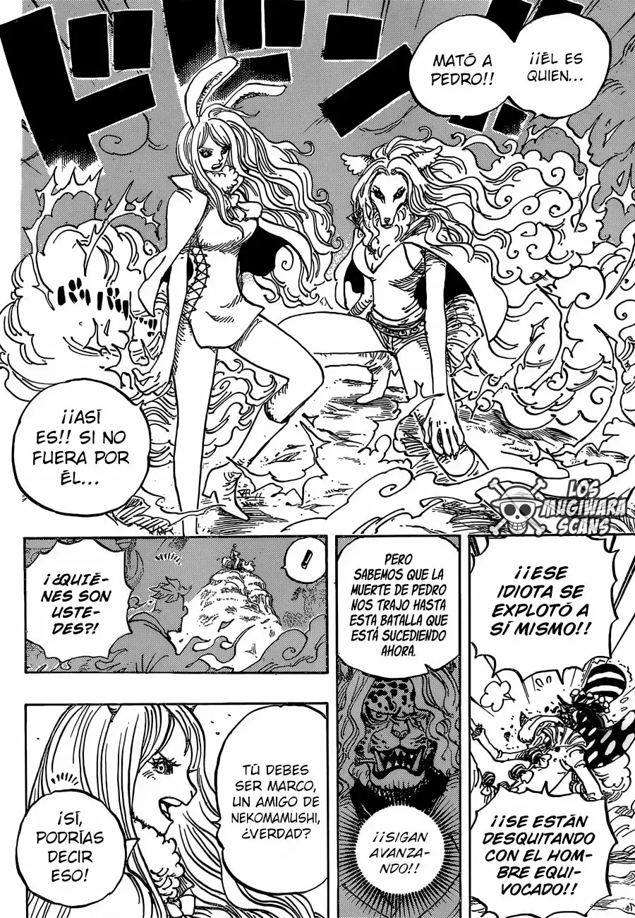 One Piece Capitulo 995.5 página 6