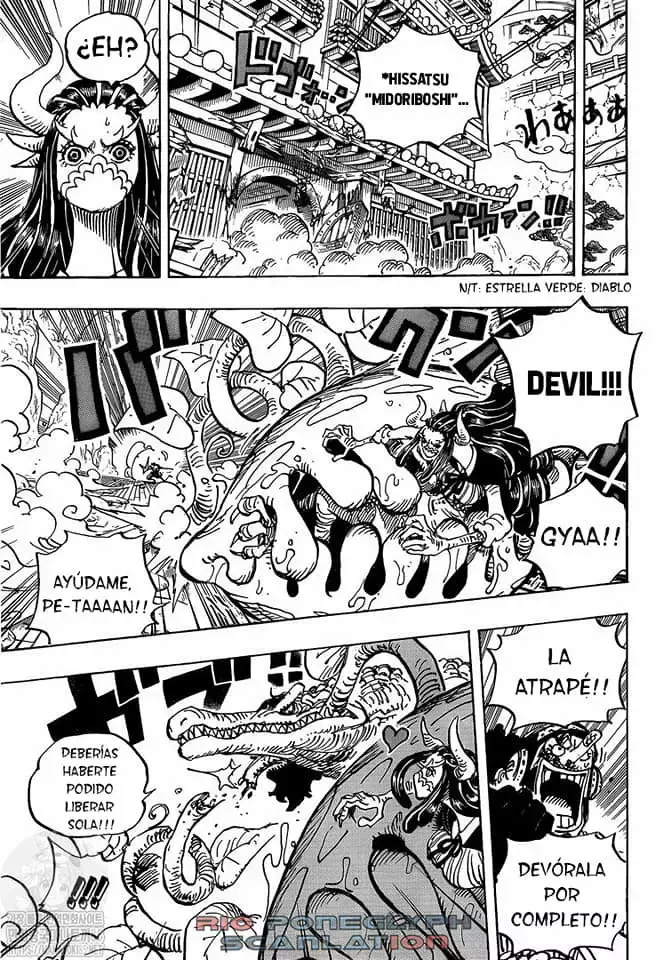 One Piece Capitulo 995: El voto de la kunoichi página 14