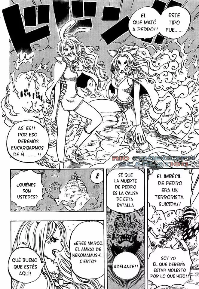 One Piece Capitulo 995: El voto de la kunoichi página 7