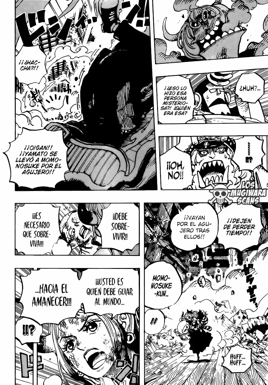 One Piece Capitulo 996 página 11