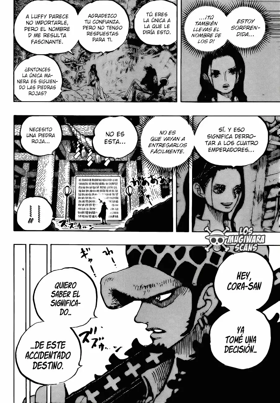 One Piece Capitulo 996 página 13