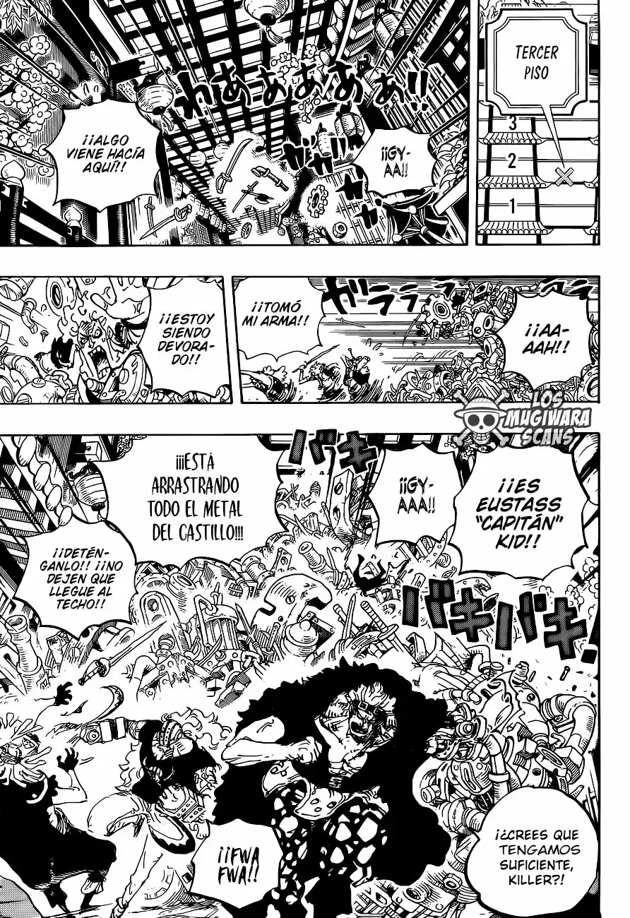 One Piece Capitulo 996 página 14