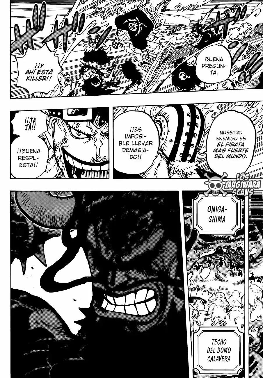 One Piece Capitulo 996 página 15