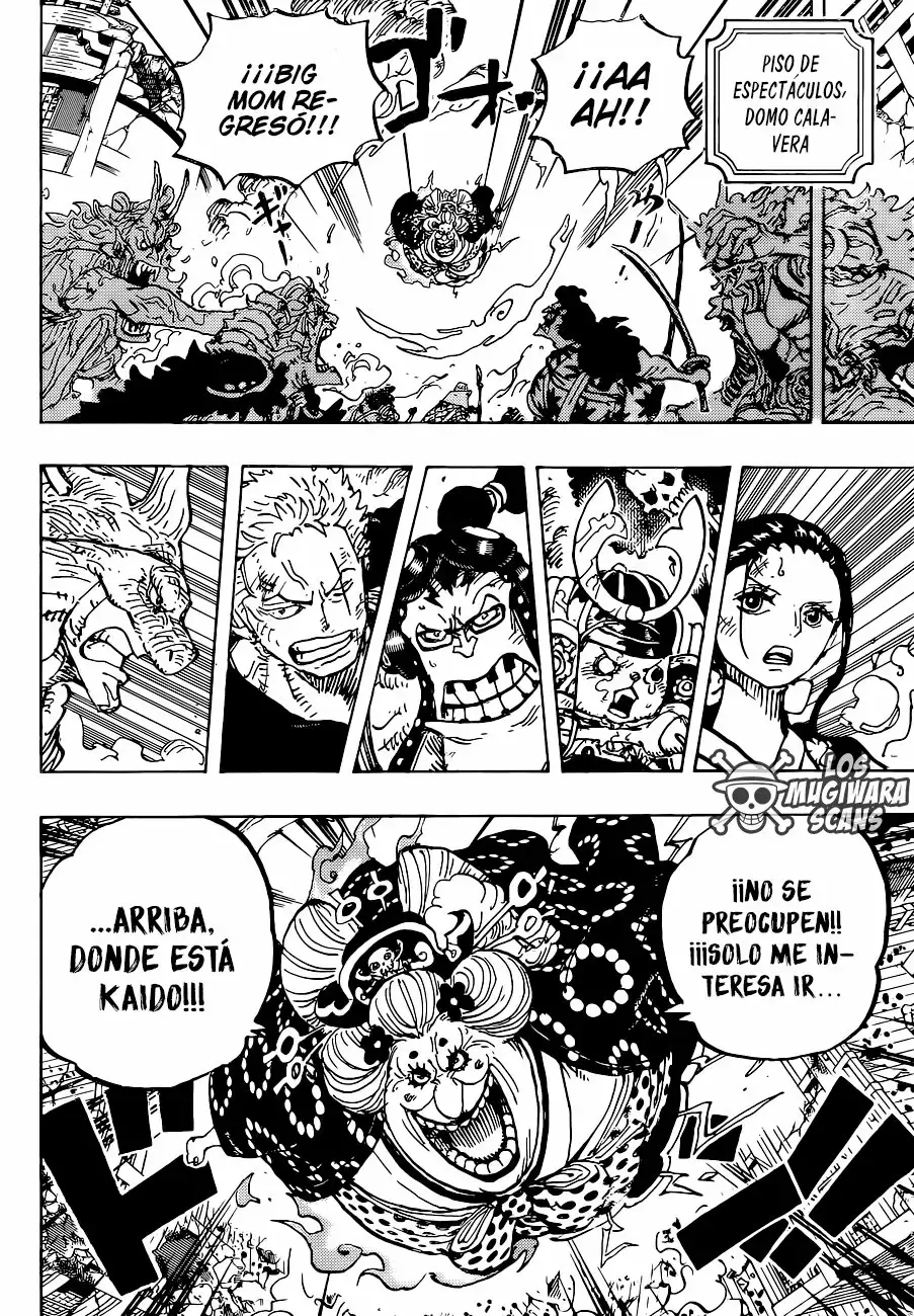One Piece Capitulo 996 página 17
