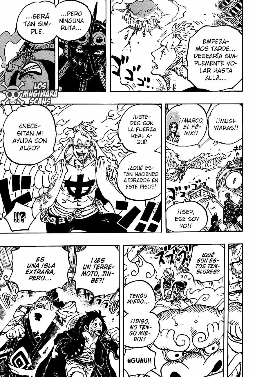 One Piece Capitulo 997.5 página 14