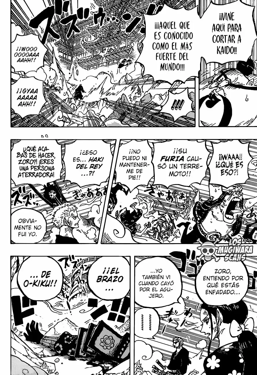 One Piece Capitulo 997 página 14