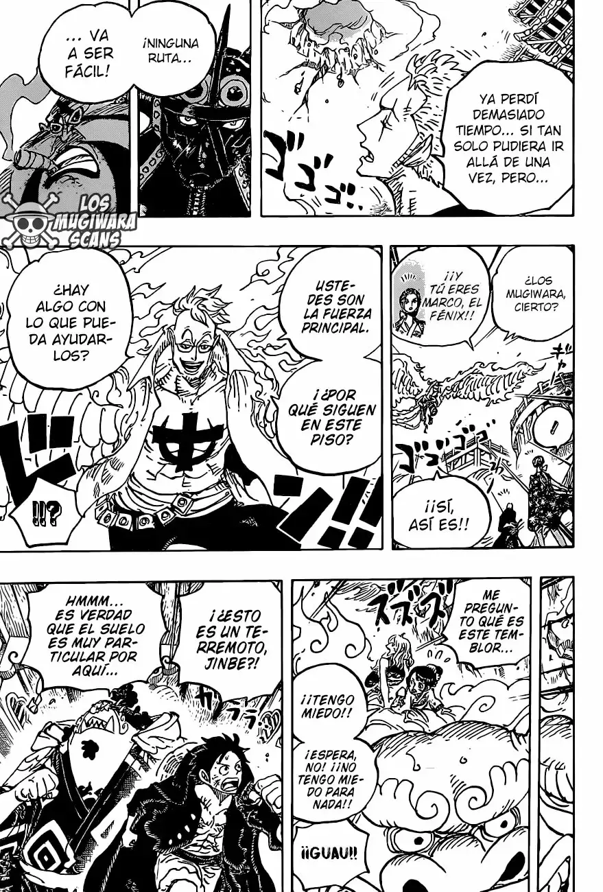 One Piece Capitulo 997 página 15