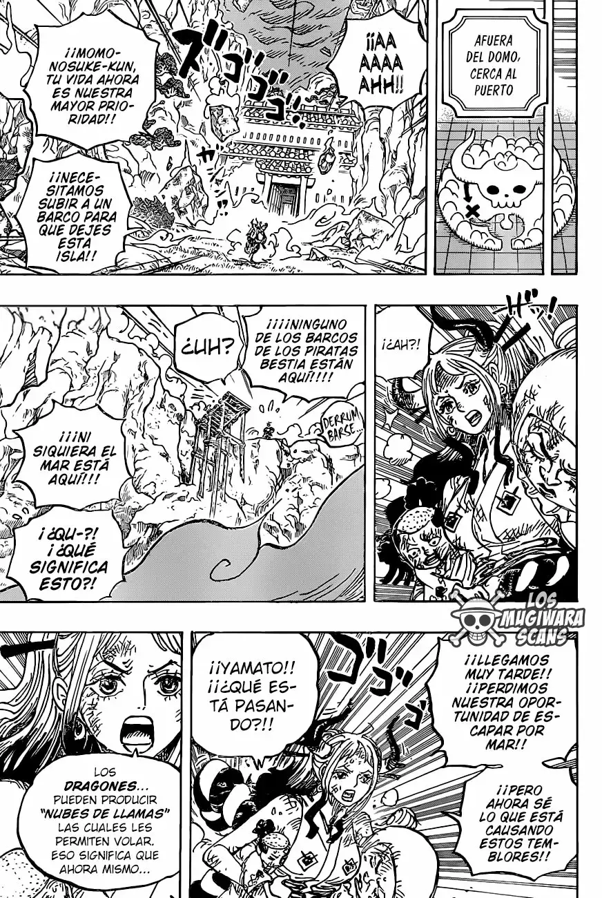 One Piece Capitulo 997 página 17
